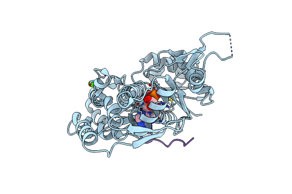4EFH image