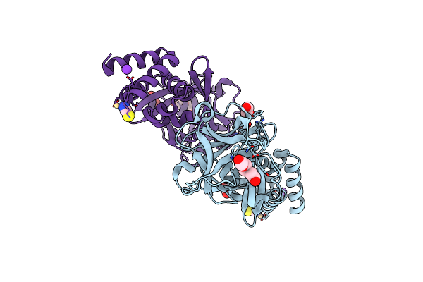 4EFP image