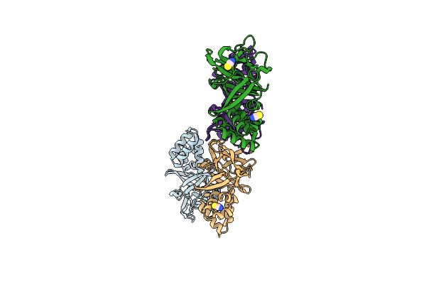 4EFR image