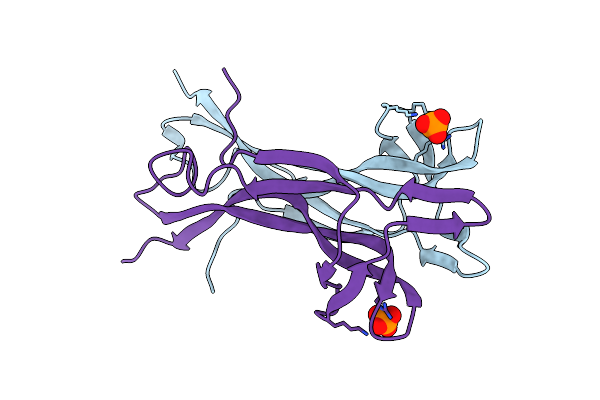 4EFV image