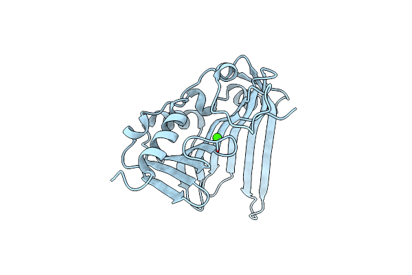 4EG9 image