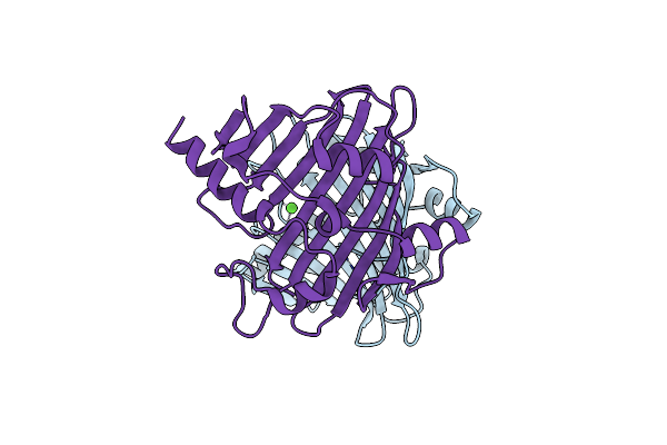 4EGD image