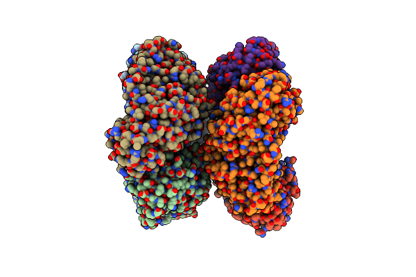 4EGV image