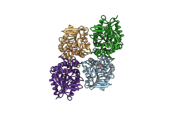 4EHB image