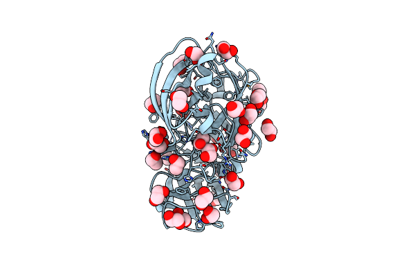 4EHC image