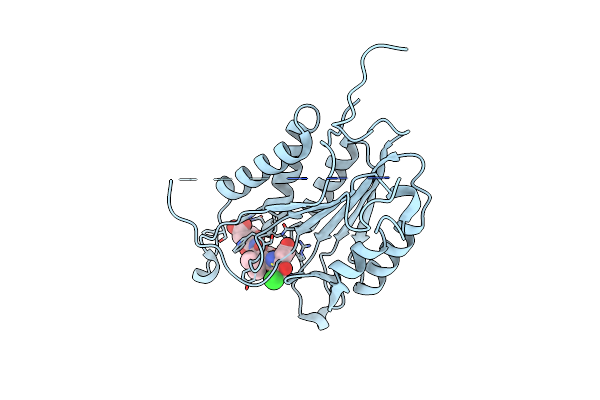 4EHD image
