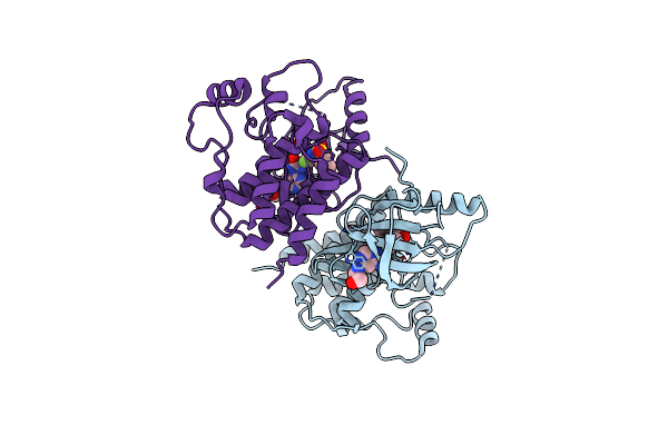 4EHG image