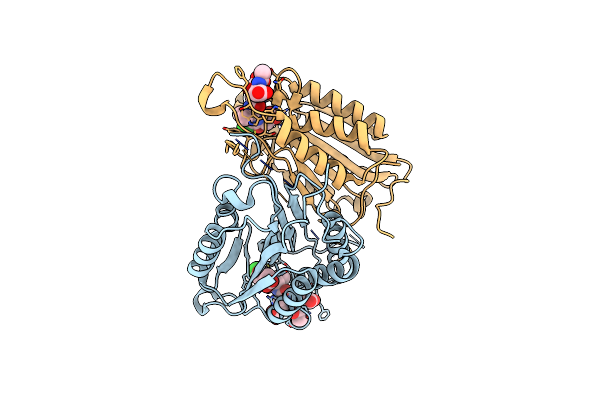 4EHL image