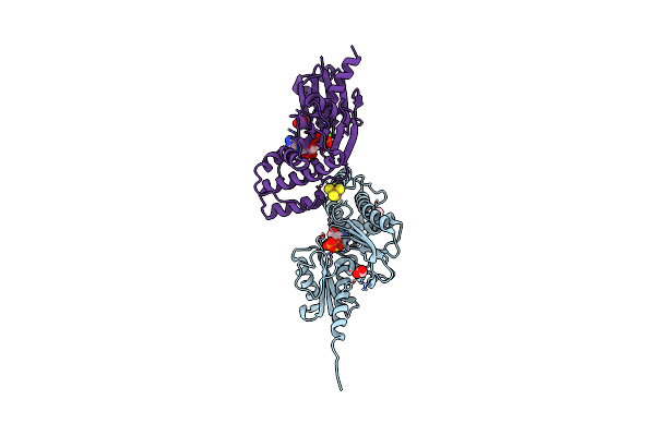 4EHT image