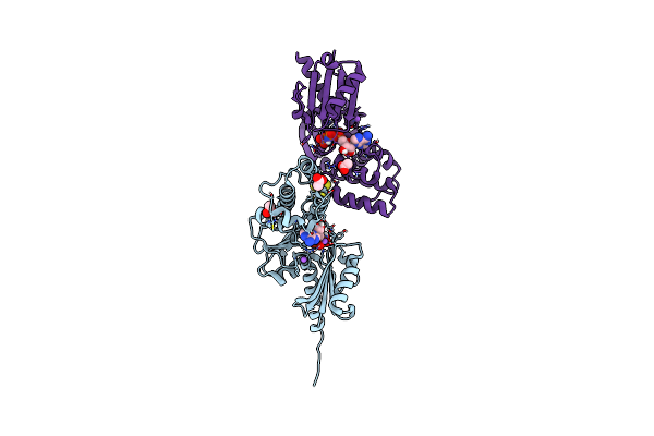 4EHU image