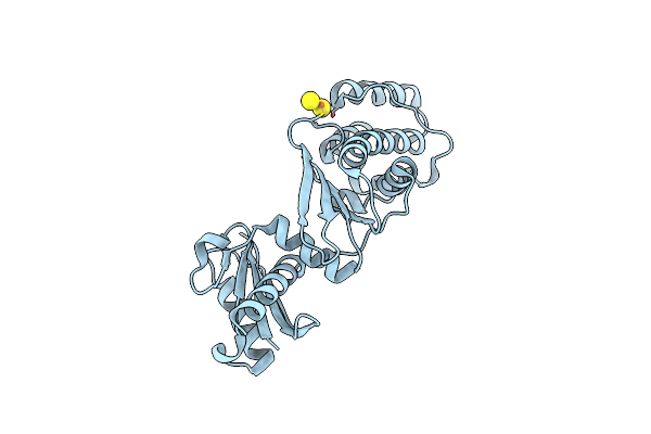 4EIA image