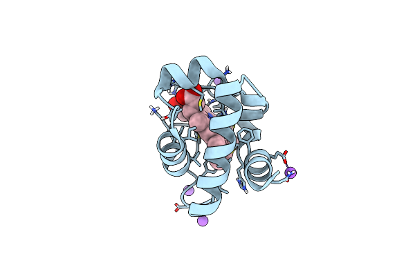 4EIE image