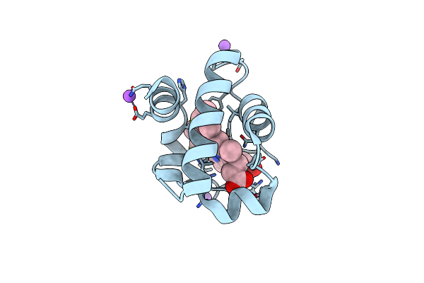 4EIF image