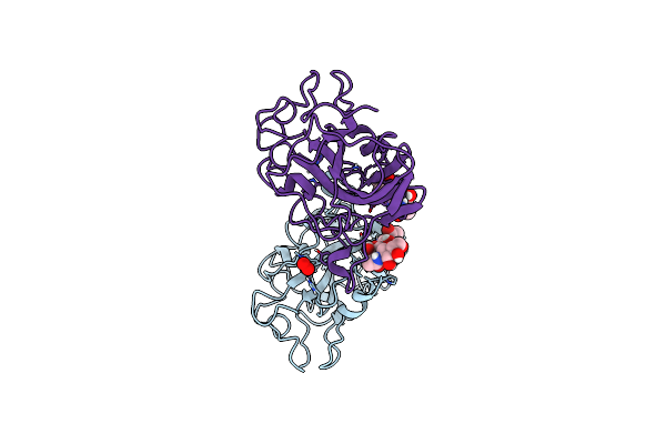 4EIS image