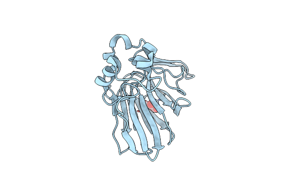 4EKA image
