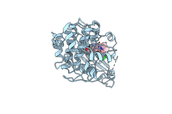 4EKL image