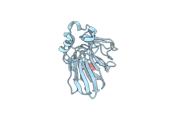 4EKO image