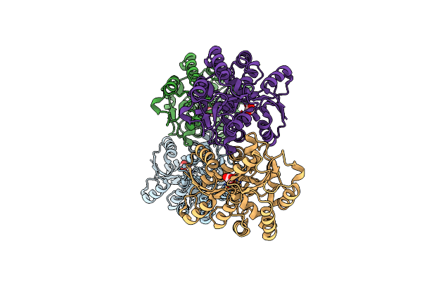 4ELP image