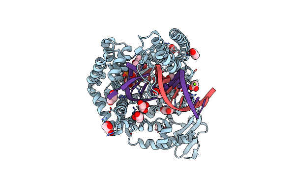 4ELT image