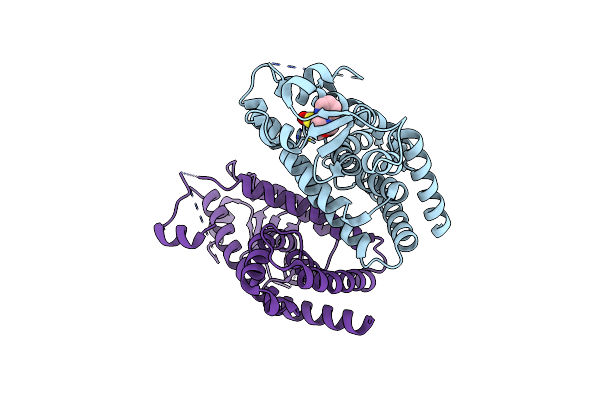 4EMA image
