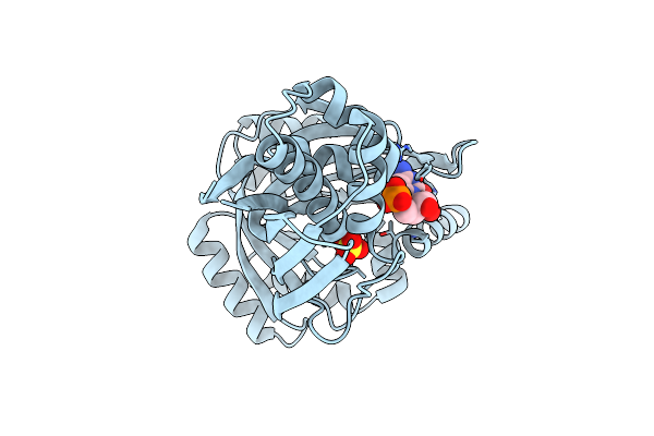 4EMD image