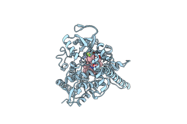 4ENH image
