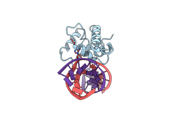 4ENK image