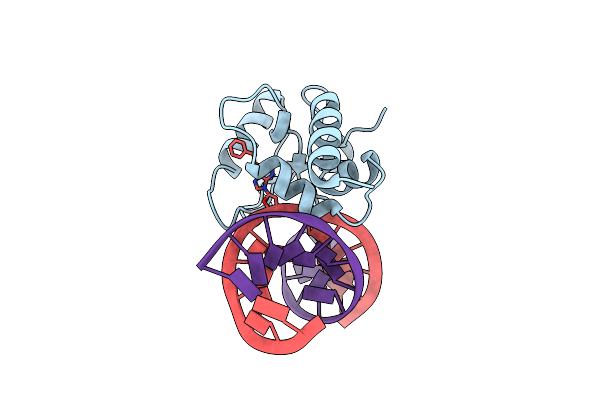 4ENM image