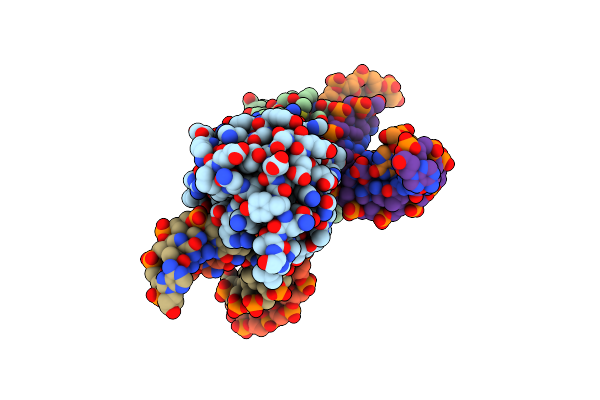 4ENN image