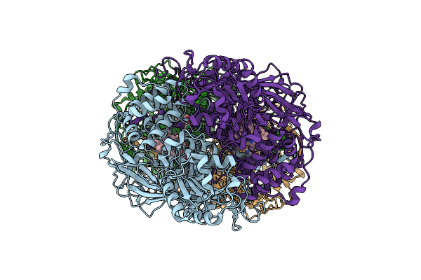 4ENP image