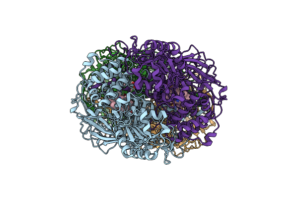 4ENV image