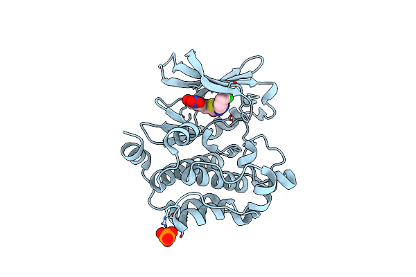 4ENX image