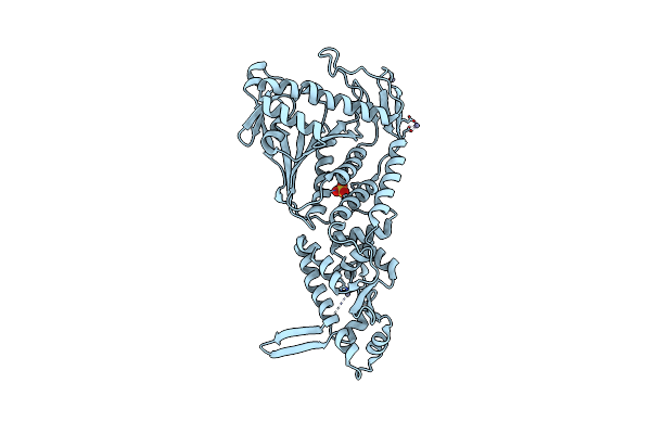 4EOG image