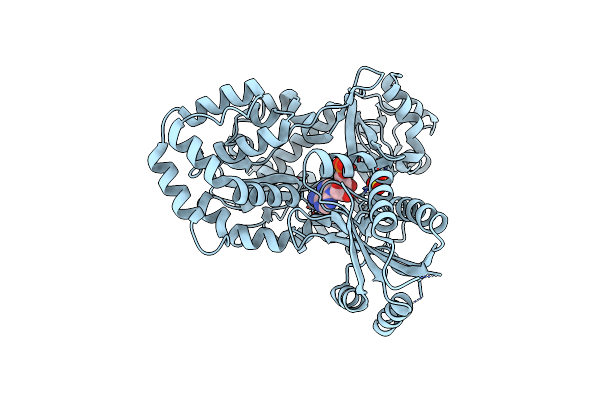 4EPM image