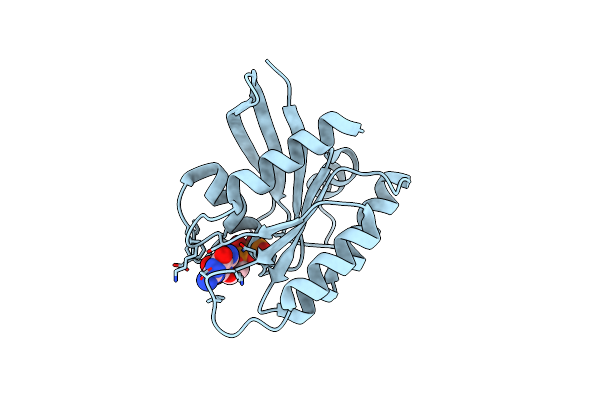 4EPR image