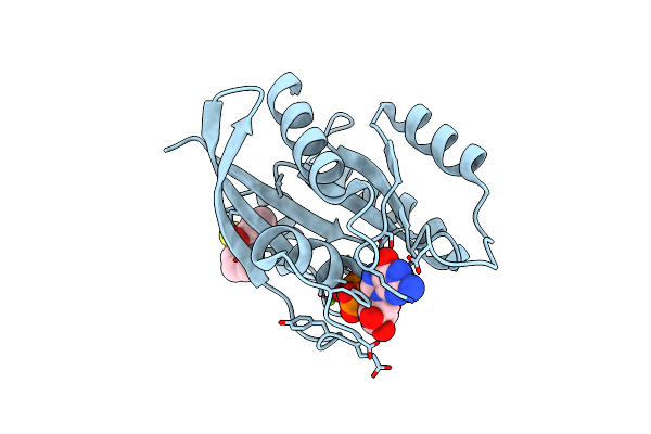 4EPT image