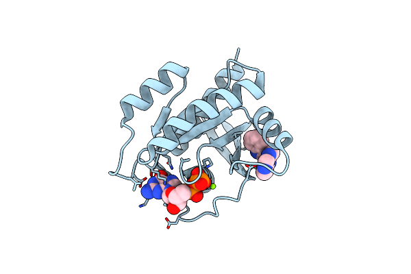 4EPV image