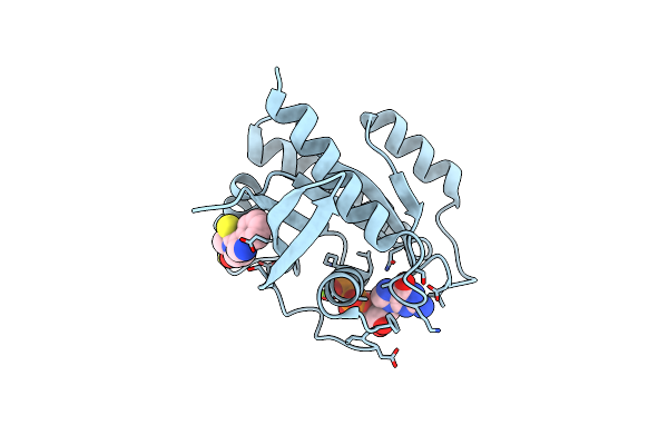 4EPW image