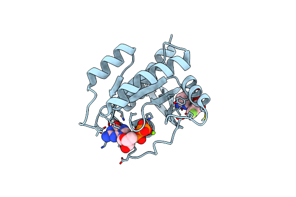 4EPX image