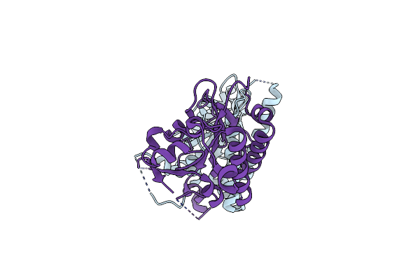 4EQ6 image