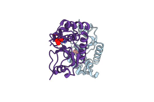 4ERC image