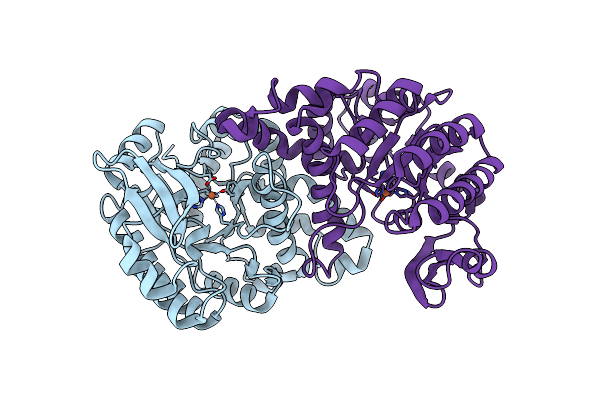 4ERG image