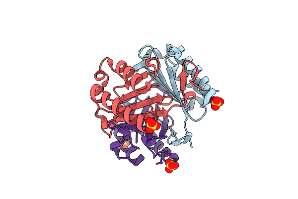 4EUI image