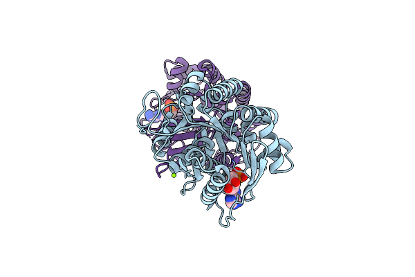 4EUM image