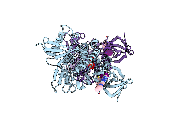 4EUT image
