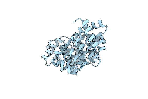 4EVF image