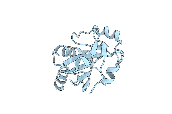 4EVM image