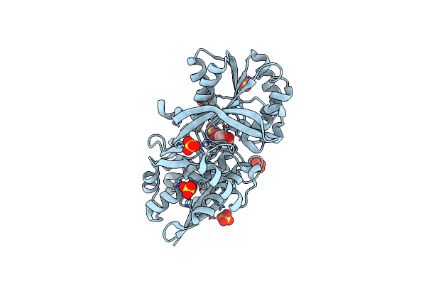 4EVS image