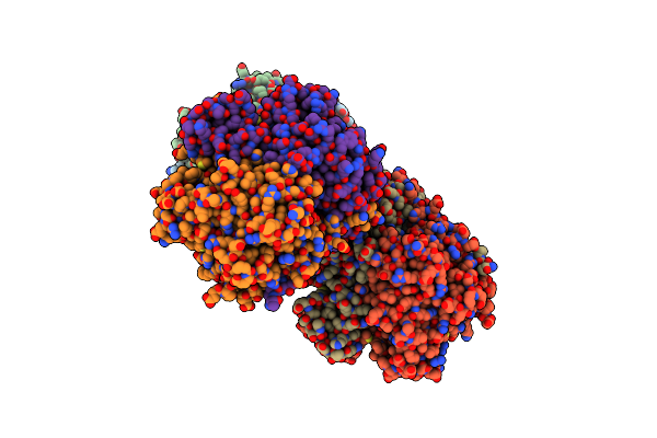 4EWP image