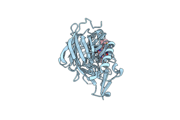 4EXG image